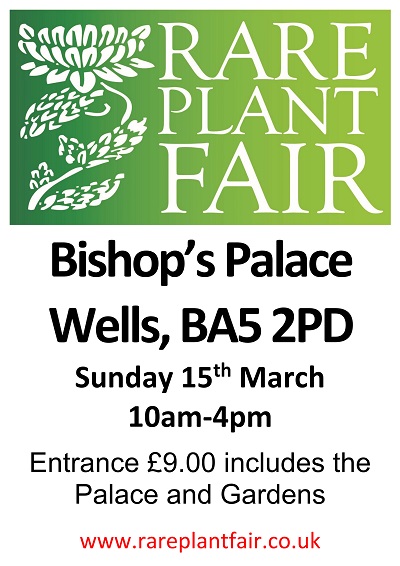 Rare Plant Fairs