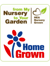 HEA Quality Home Grown plants